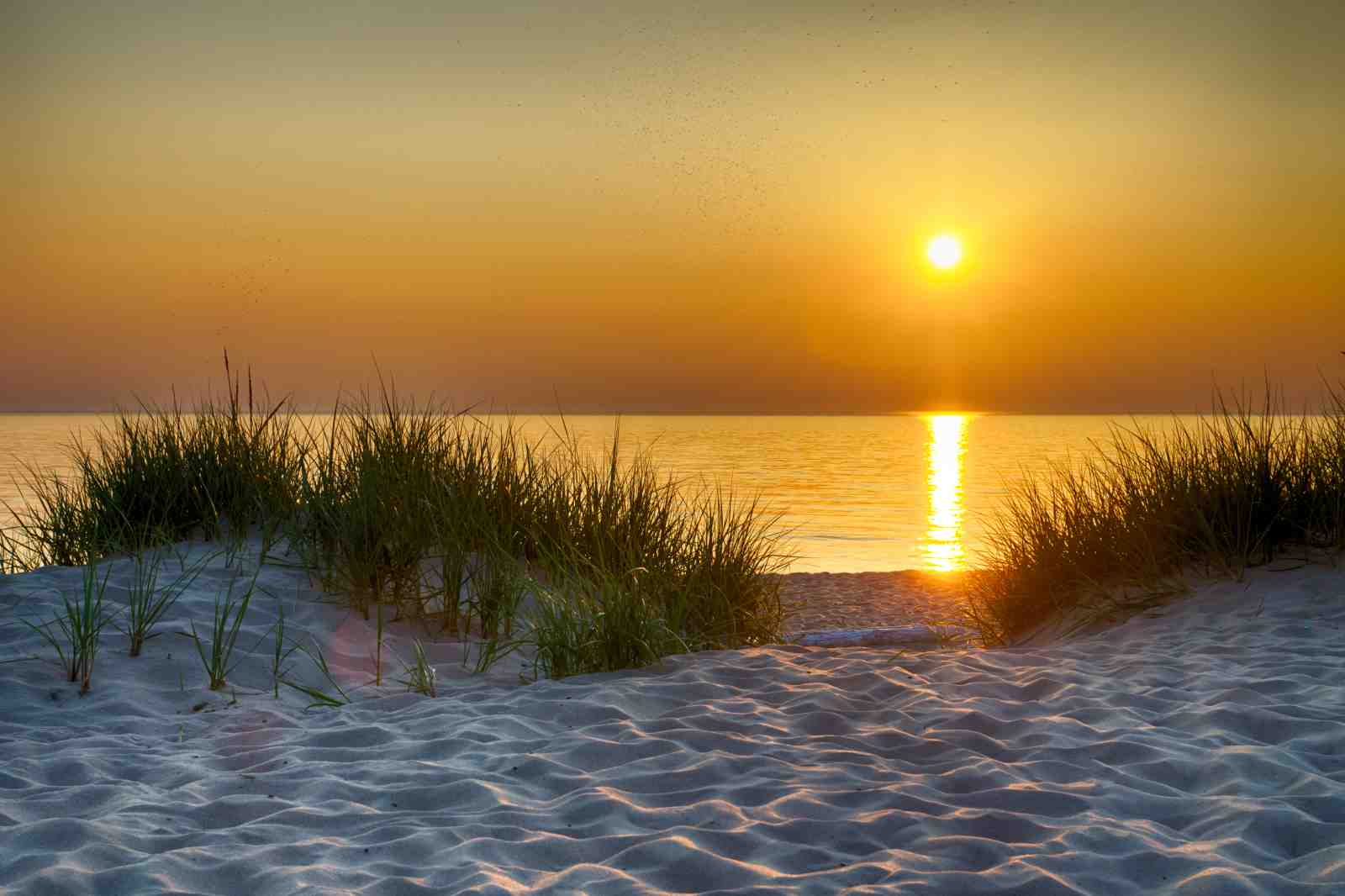 Serene Sunset Beach Grass Wall Art