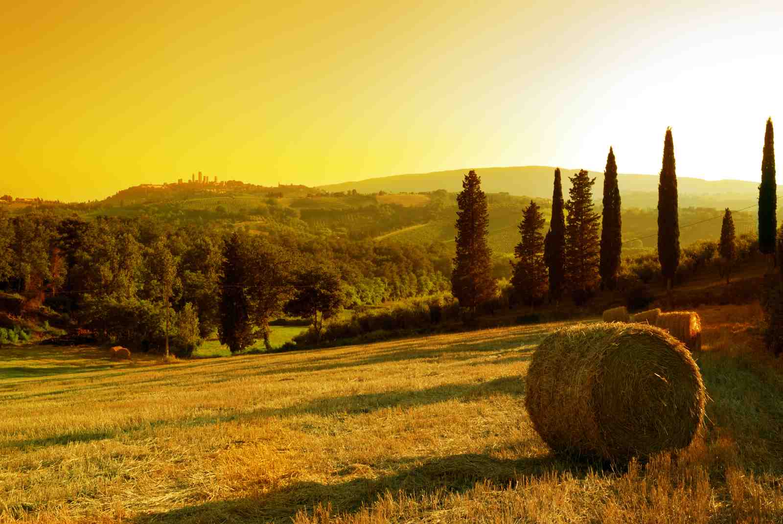 Tuscan Sunset Landscape Wall Art