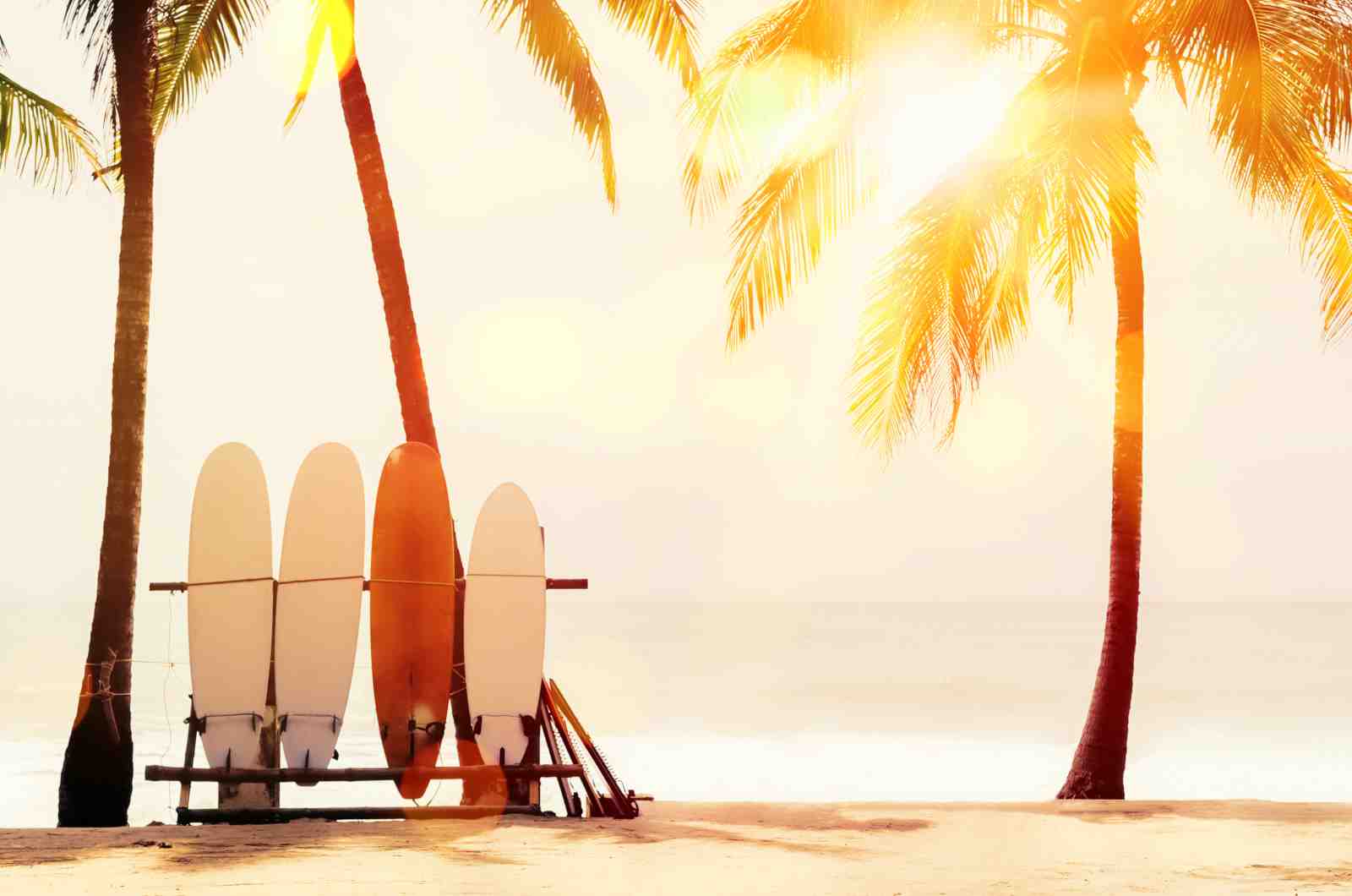 Sunny Beach Surfboards Palm Tree Wall Art