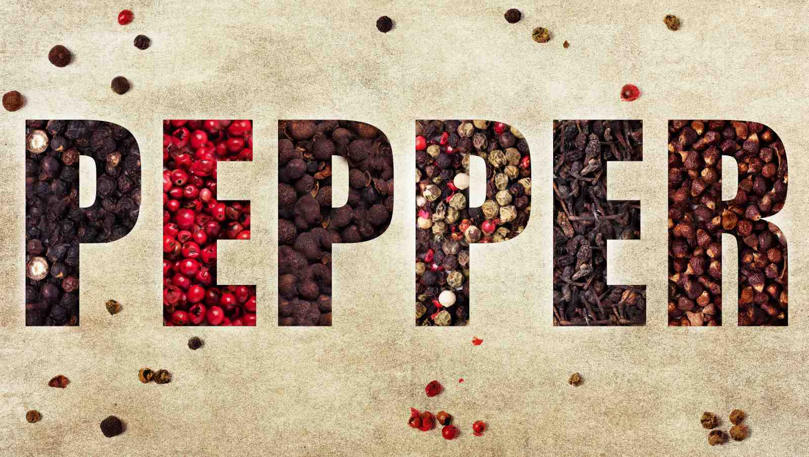 Gourmet Spice Pepper Typography Wall Art
