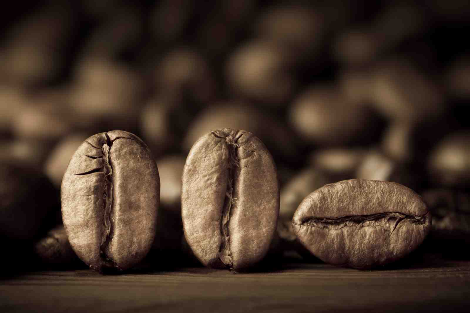 Artistic Coffee Beans Close-Up Wall Art