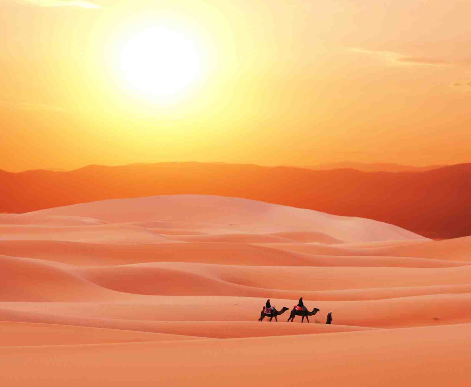 Moroccan Desert Sunset Camel Caravan Wall Art