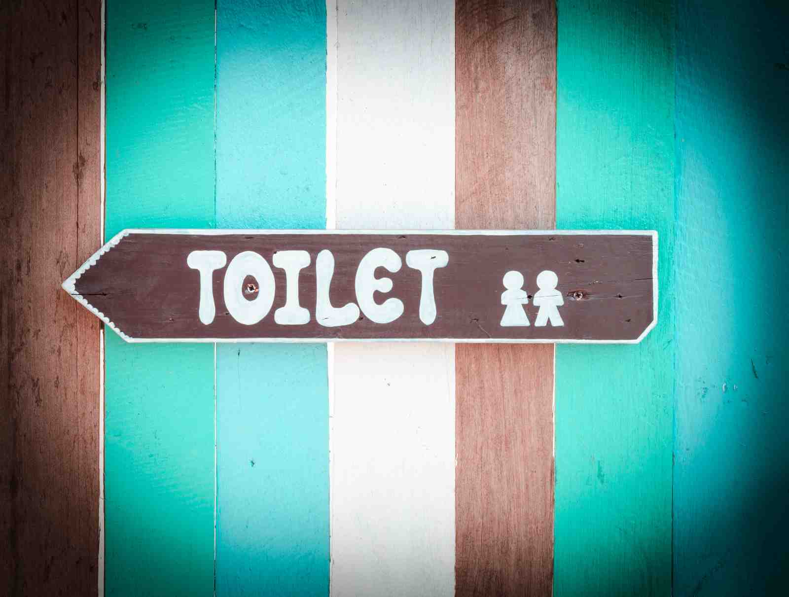 Retro "Toilet" Directional Sign Wall Art