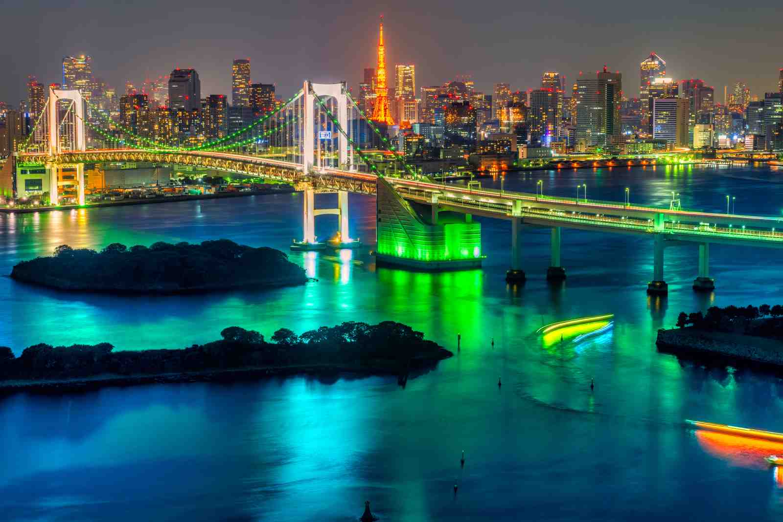 Vibrant Tokyo Rainbow Bridge Cityscape Wall Art