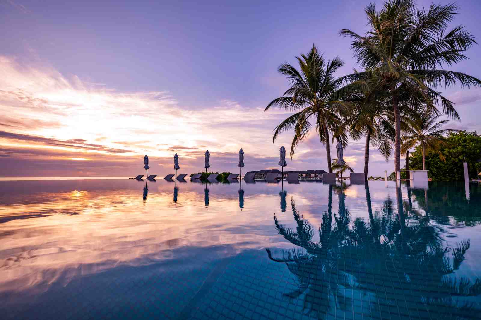 Tropical Sunset Infinity Pool Palm Trees Wall Art