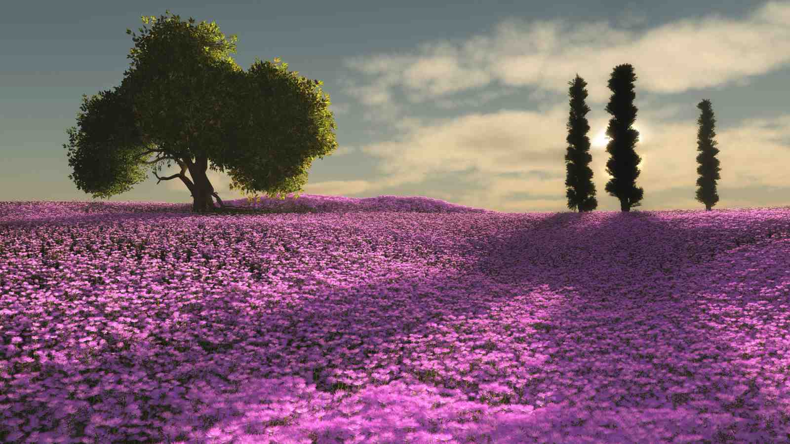 Serene Lavender Field Landscape Wall Art
