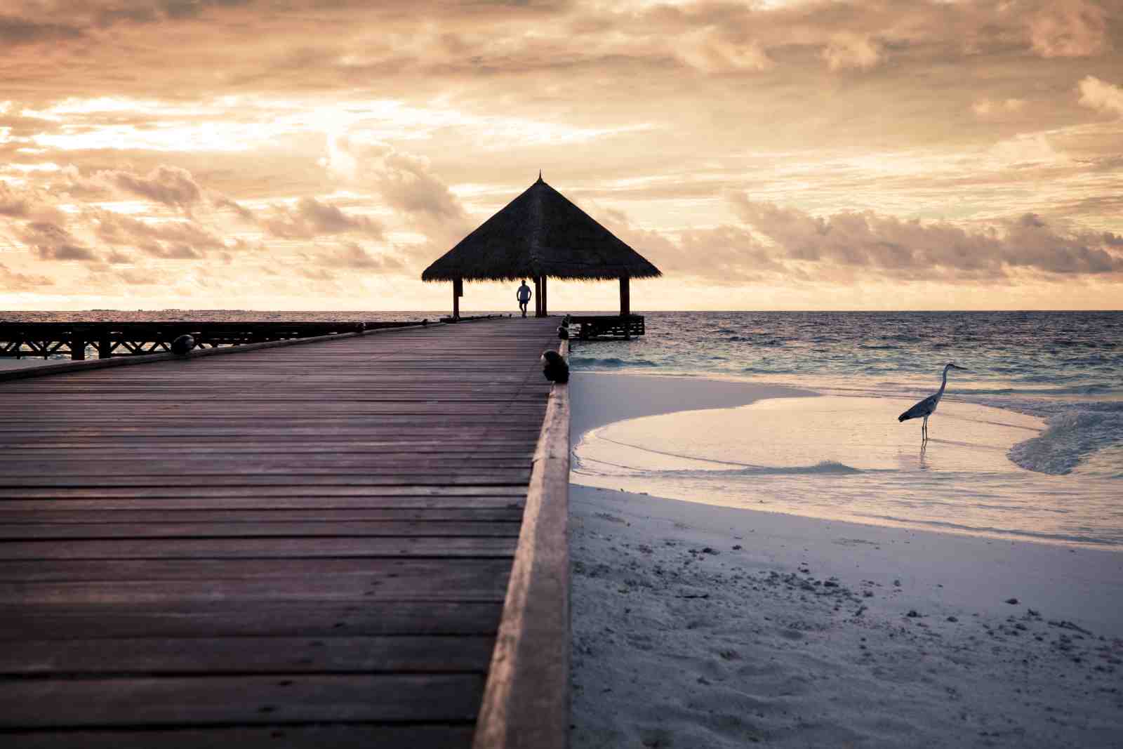 Tranquil Beach Sunset Pier Wall Art