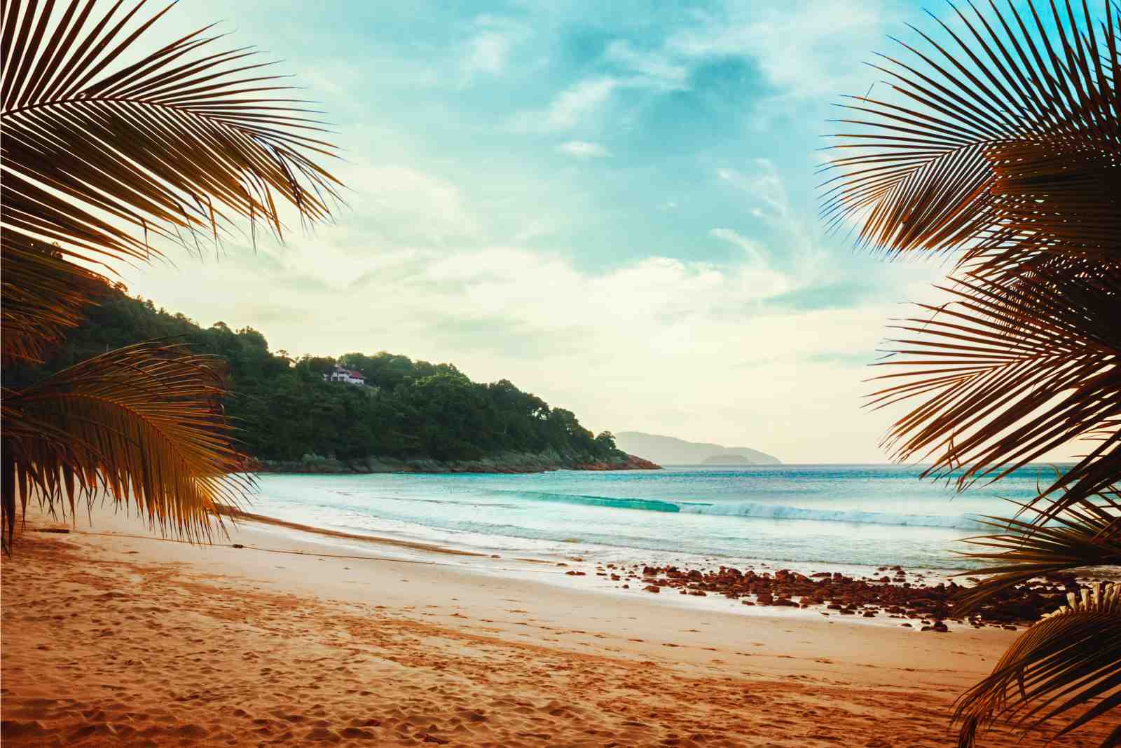 Tropical Paradise Beach Palm Wall Art