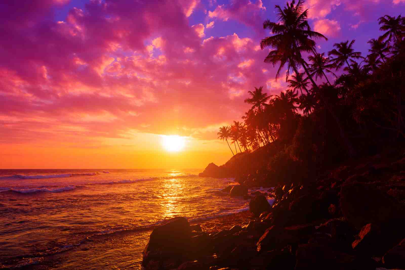 Tropical Sunset Palm Trees Wall Art