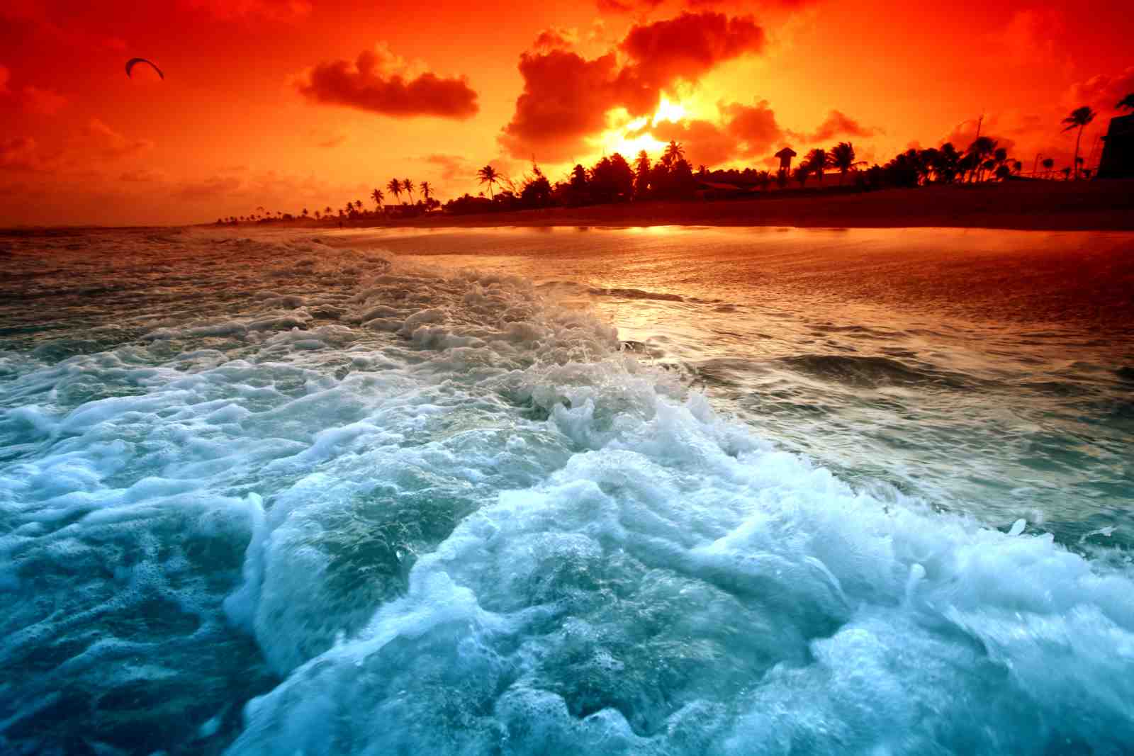Vibrant Sunset Beach Wave Wall Art