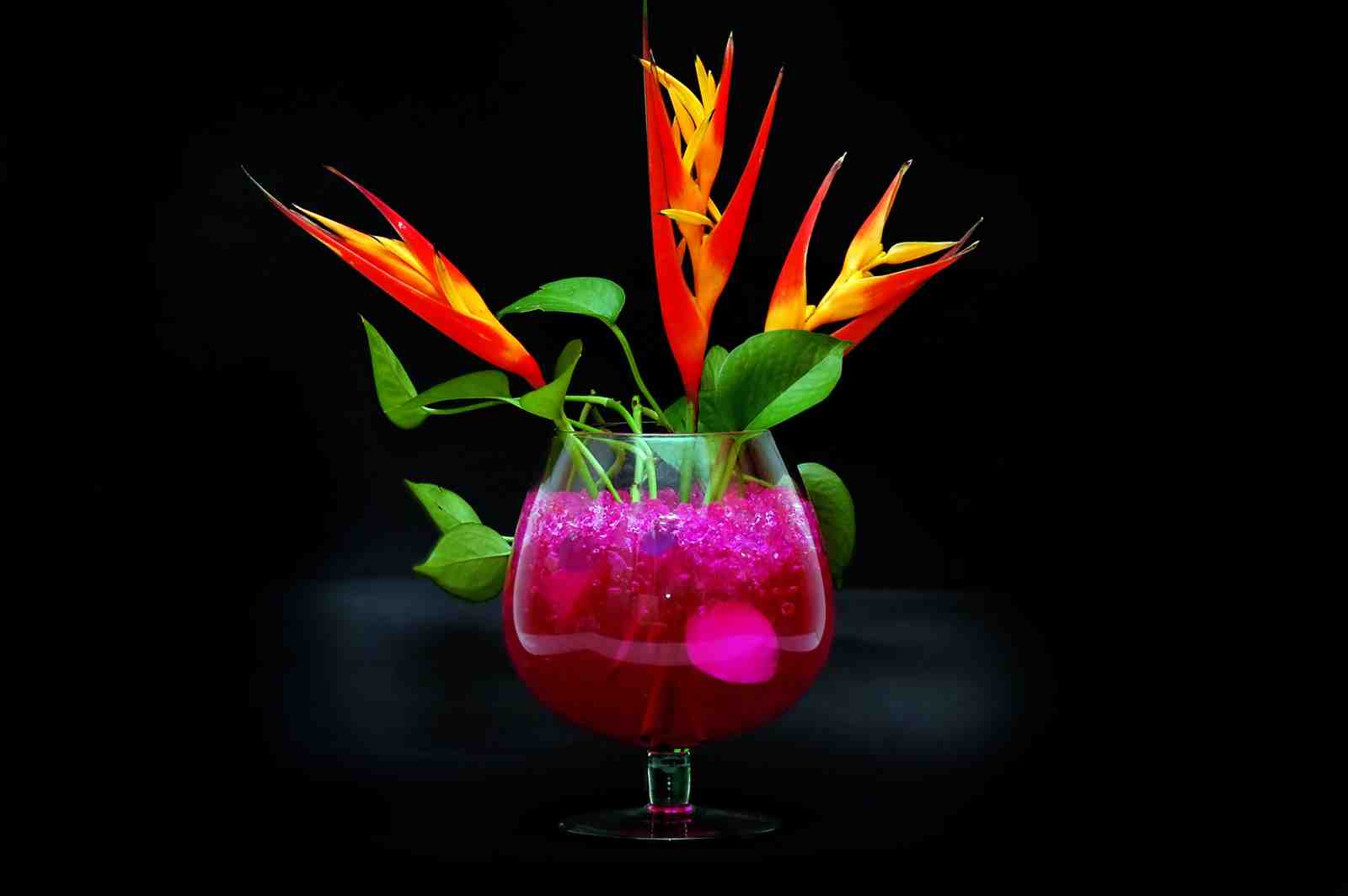 Tropical Paradise Heliconia Wall Art