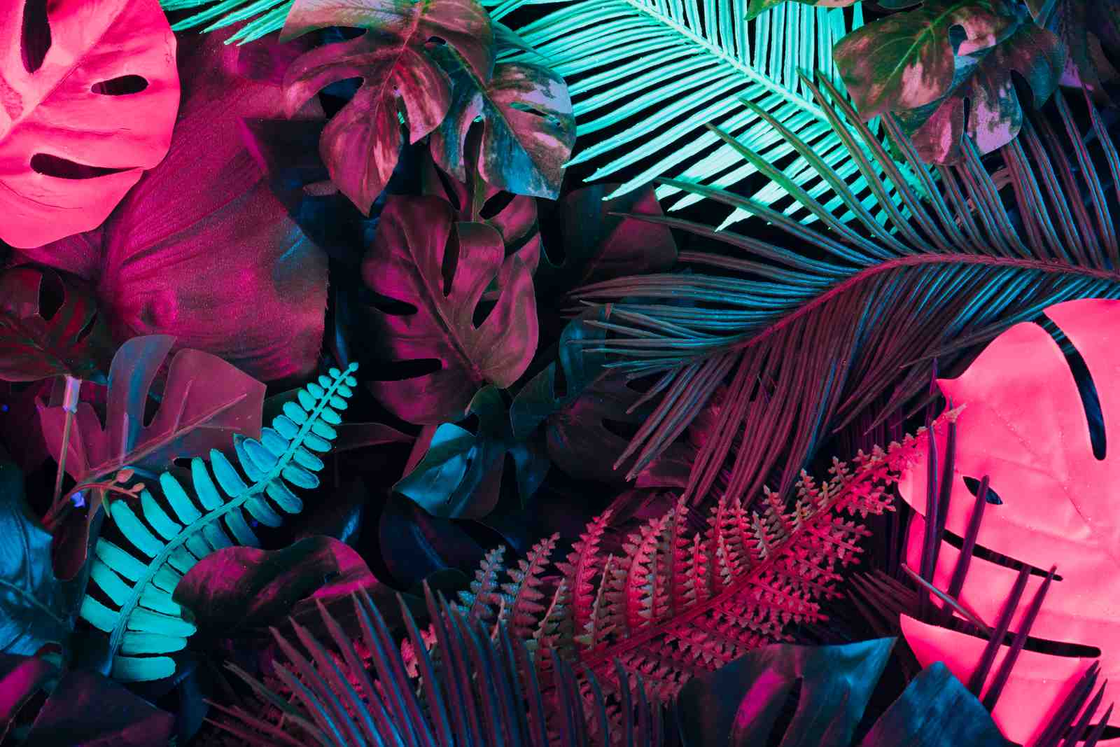 Vibrant Tropical Leaves Neon Wall Art