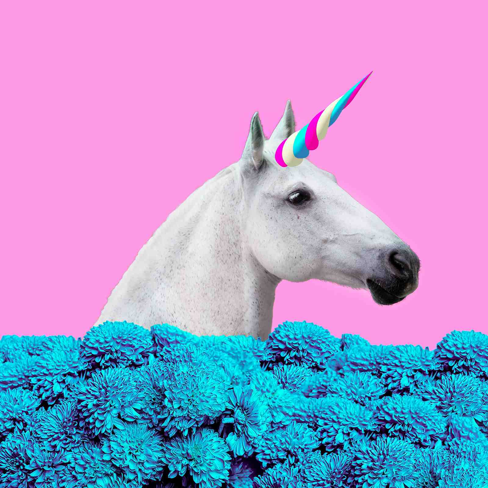 Dreamy Unicorn Floral Pop Art Wall Art