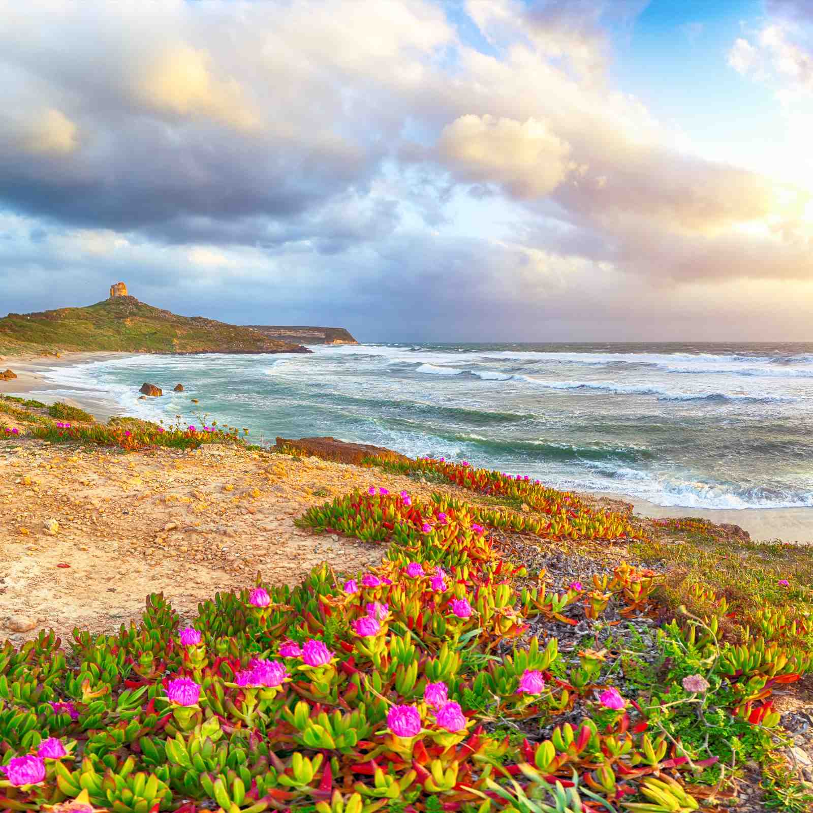 Coastal Serenity: Sardinia Beach & Tower Wall Art