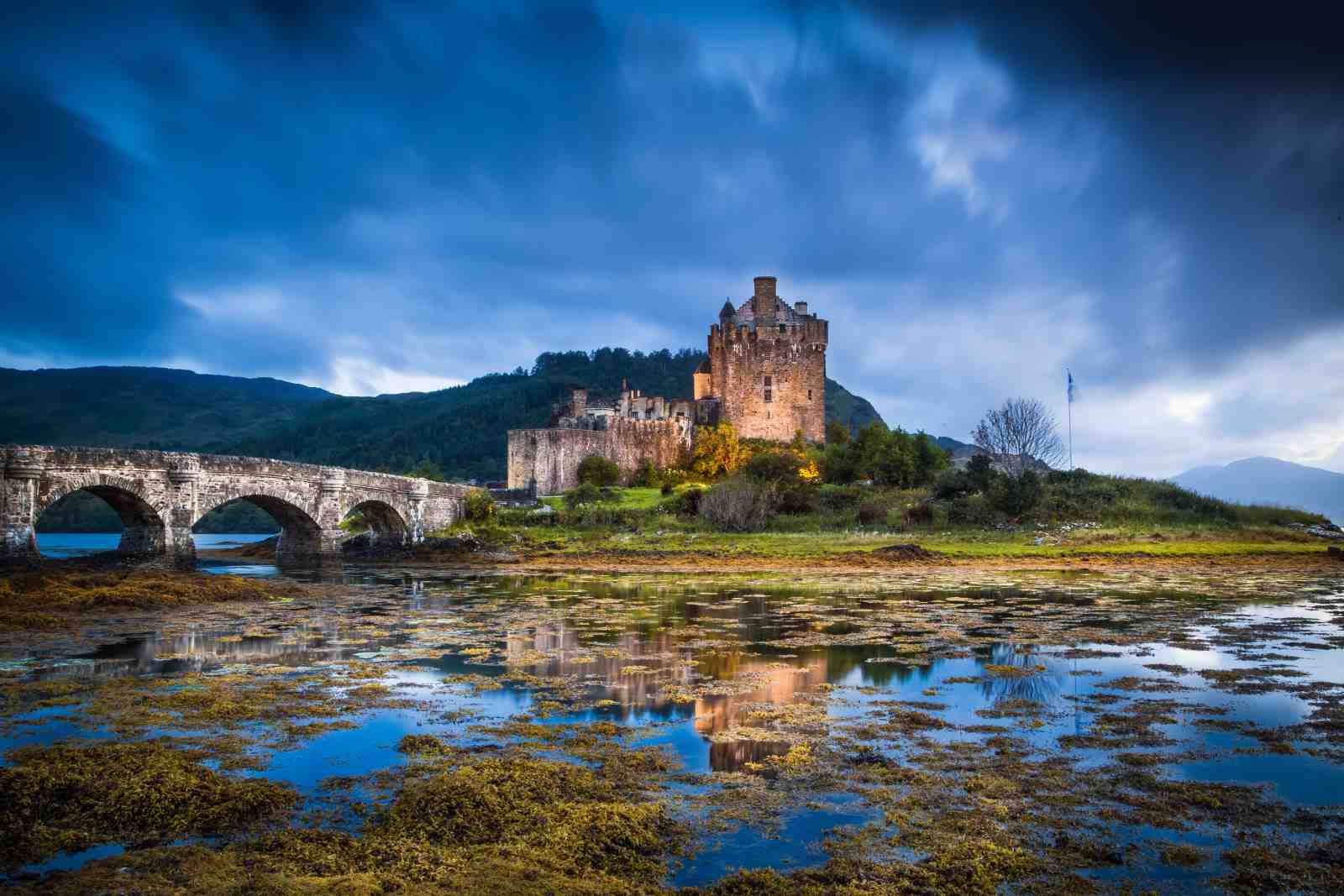 Majestic Castle Landscape Wall Art