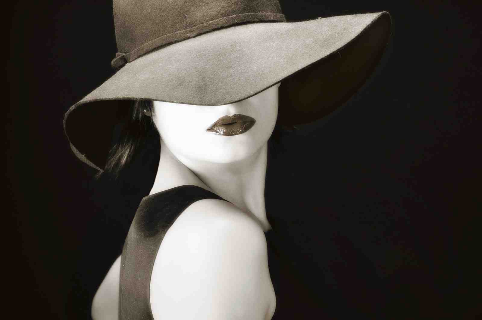 Elegant Woman Wide Brim Hat Sepia Wall Art
