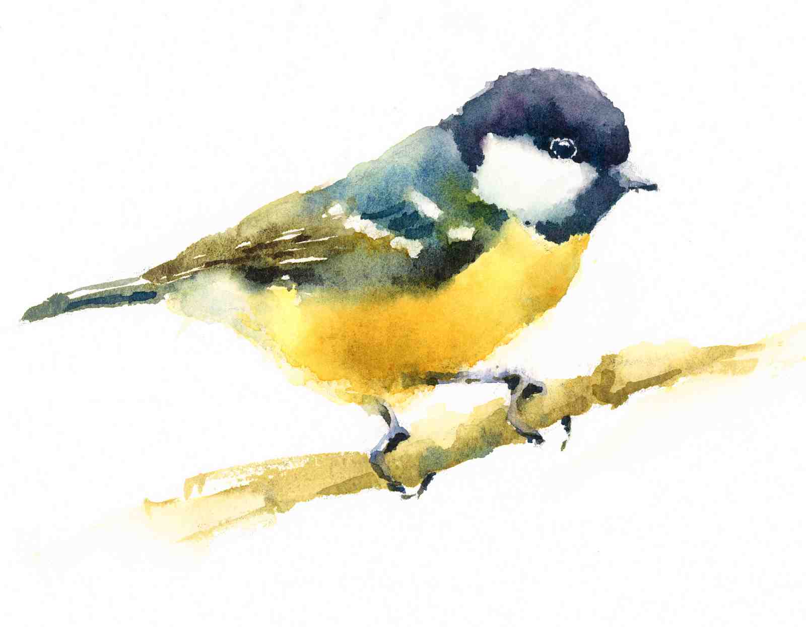 Charming Tit Bird Watercolor Wall Art
