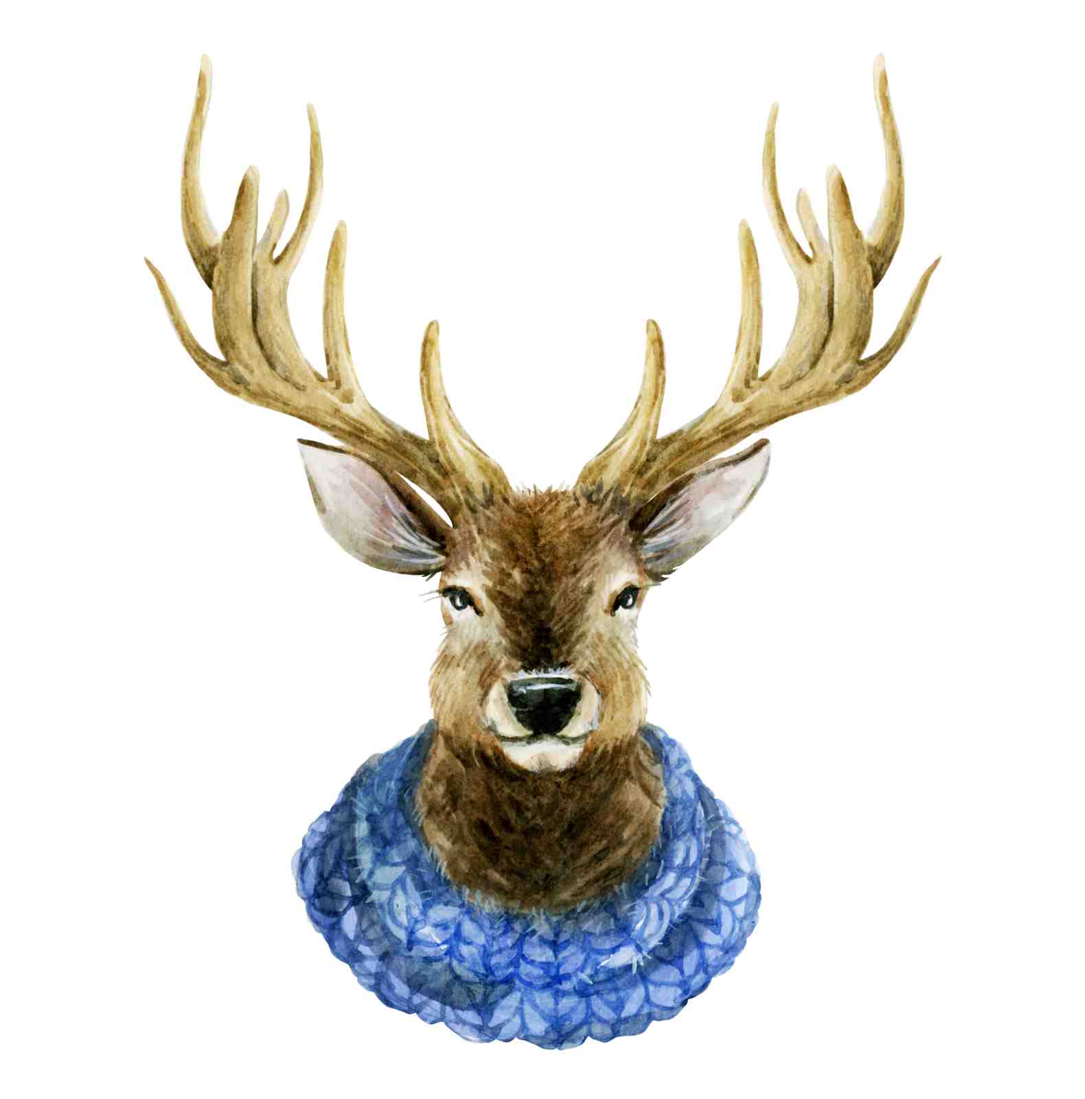 Charming Deer with Blue Scarf Wall Art