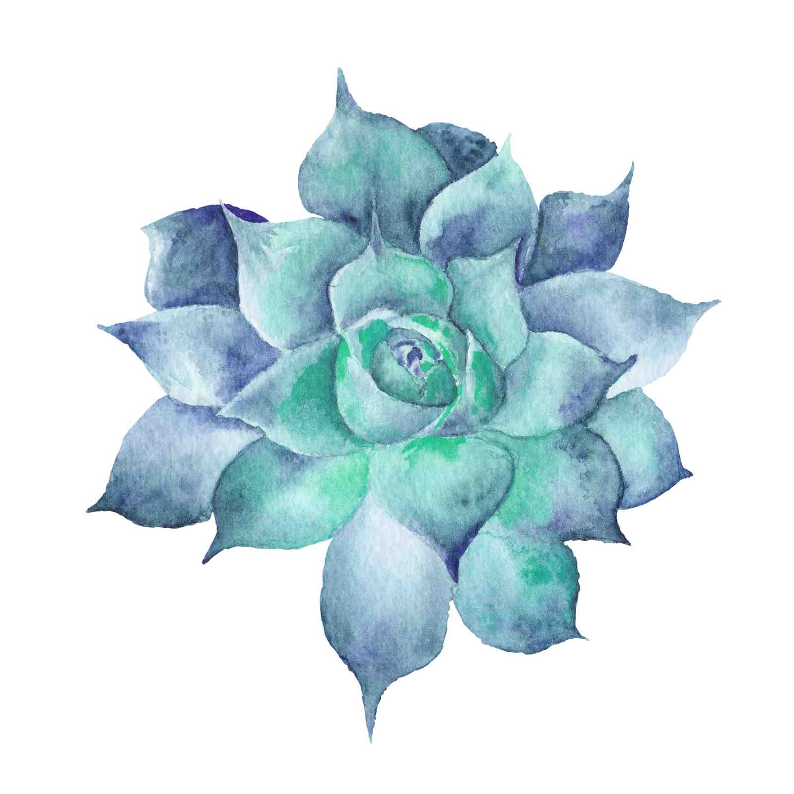 Serene Blue Succulent Watercolor Wall Art