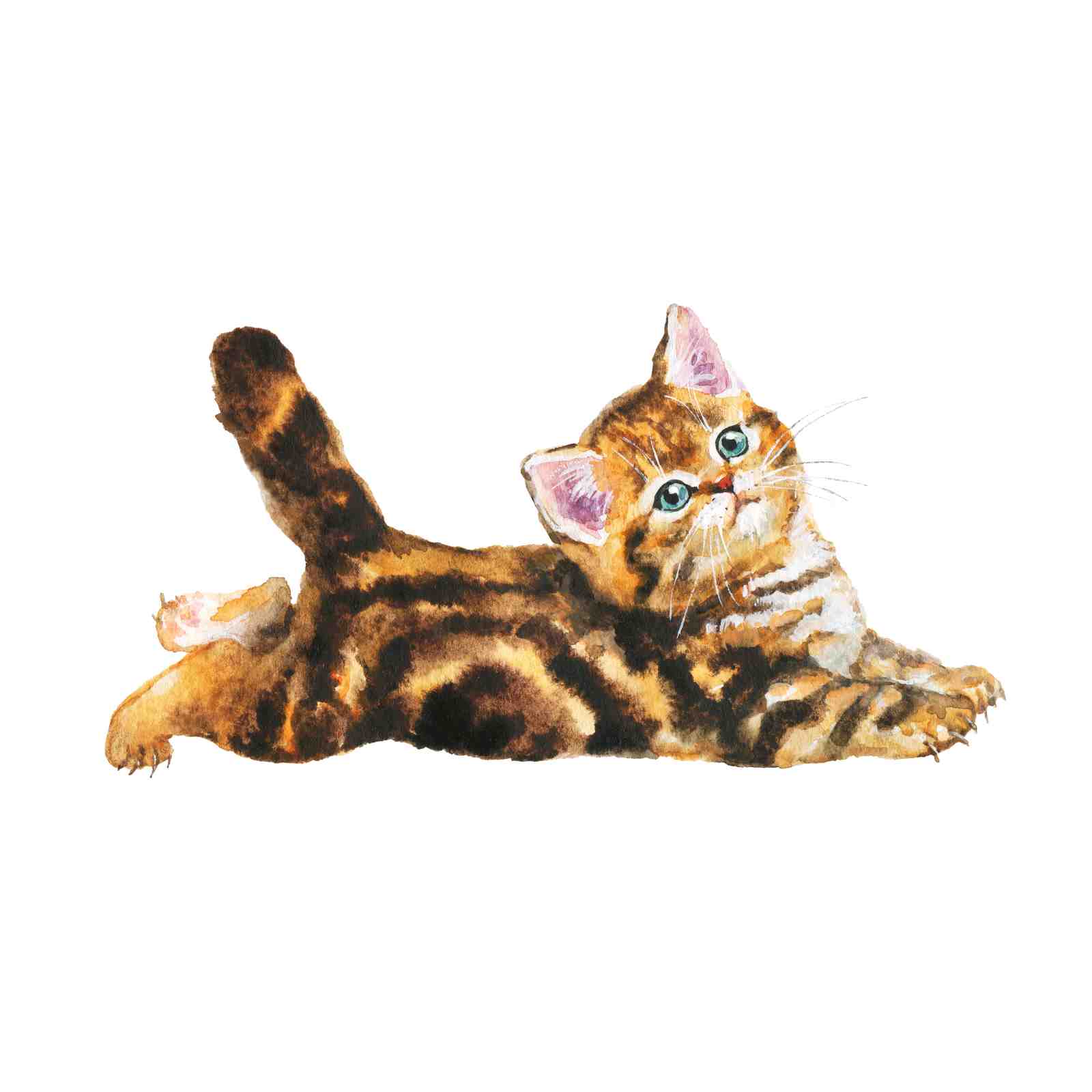 Adorable Kitten Watercolor Wall Art