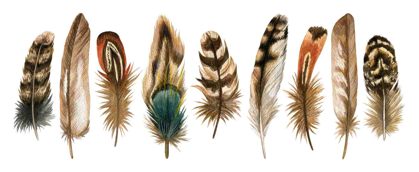 Bohemian Feather Art Wall Art