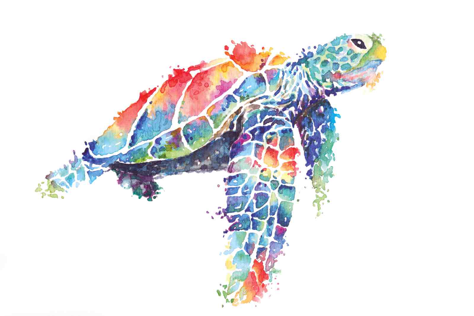 Vibrant Watercolor Sea Turtle Wall Art
