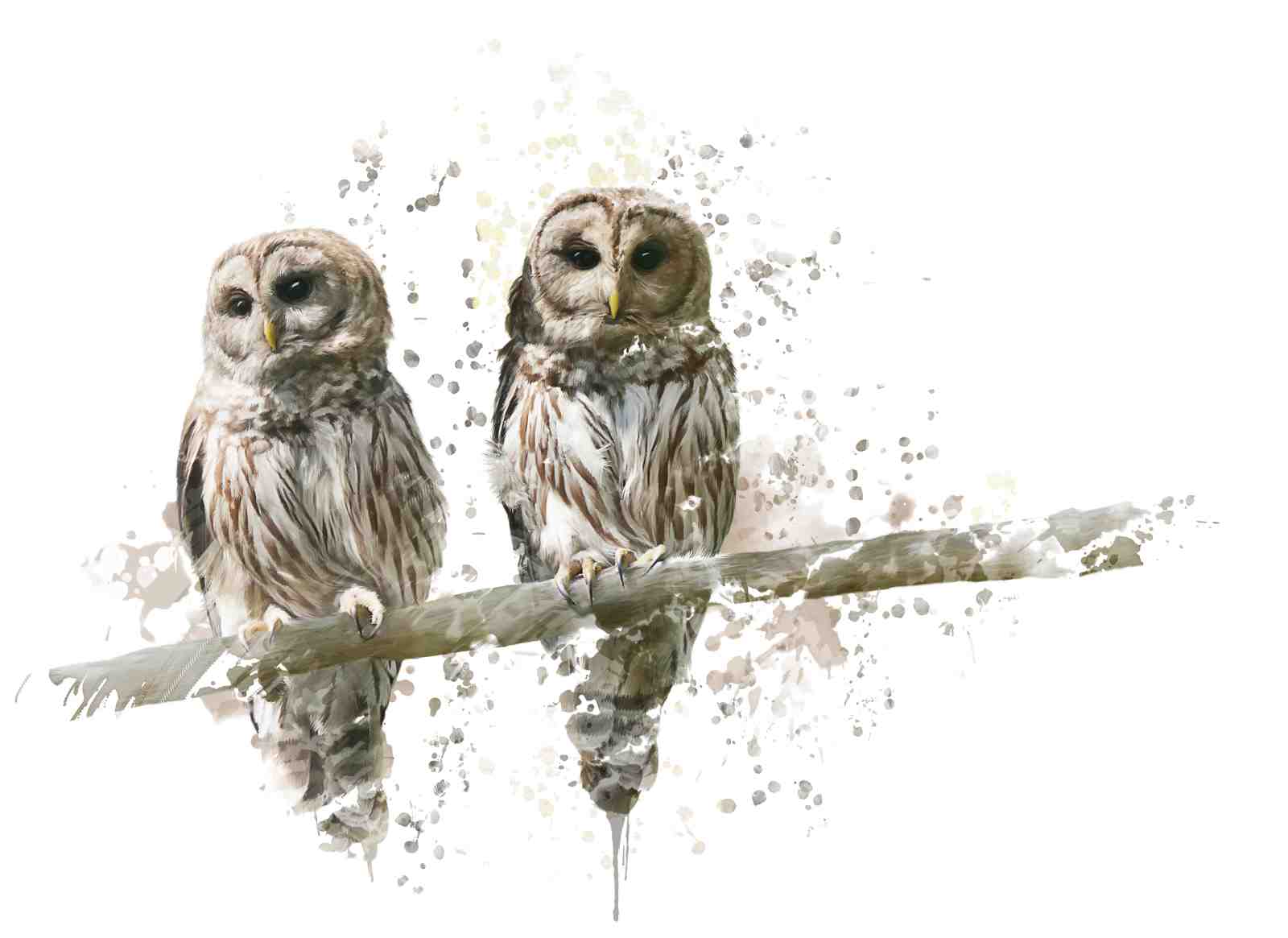 Serene Owls Watercolor Art Wall Art