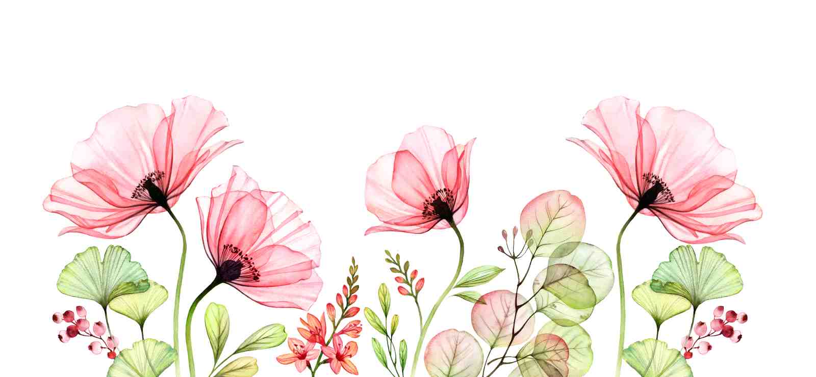 Ethereal Pink Poppy Floral Art Wall Art