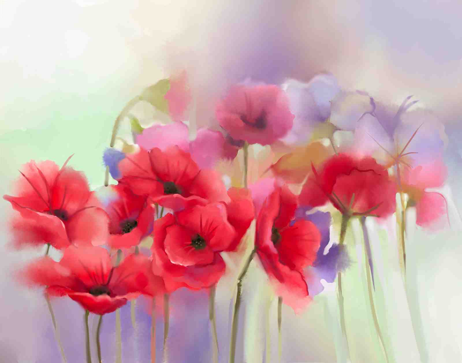 Vibrant Red Poppies Floral Wall Art