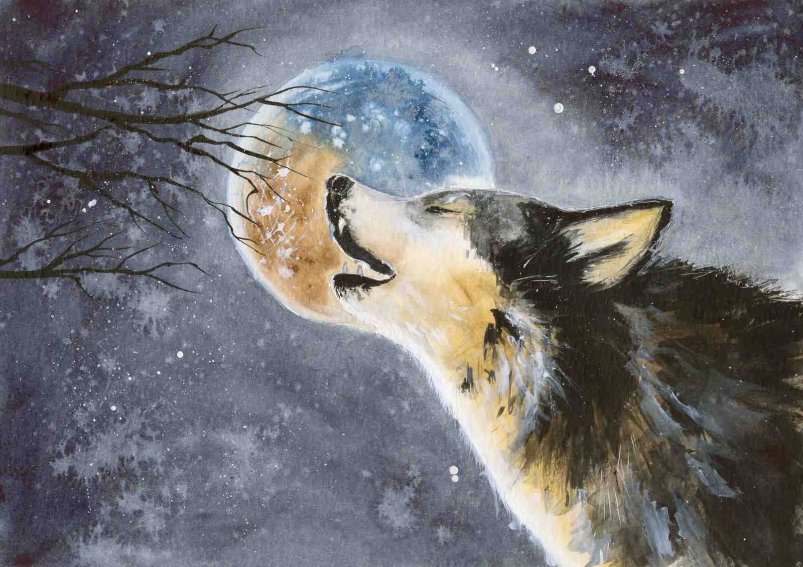 Majestic Wolf Moon Howl Wall Art