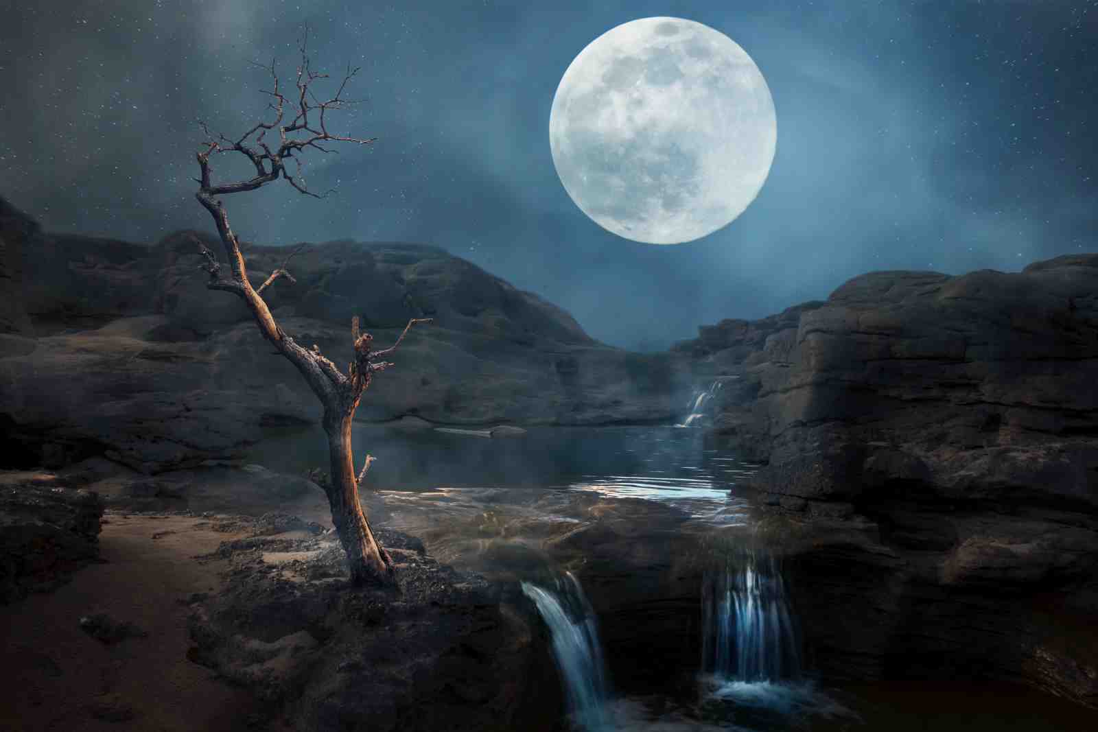 Enchanting Moonlit Waterfall Dead Tree Wall Art