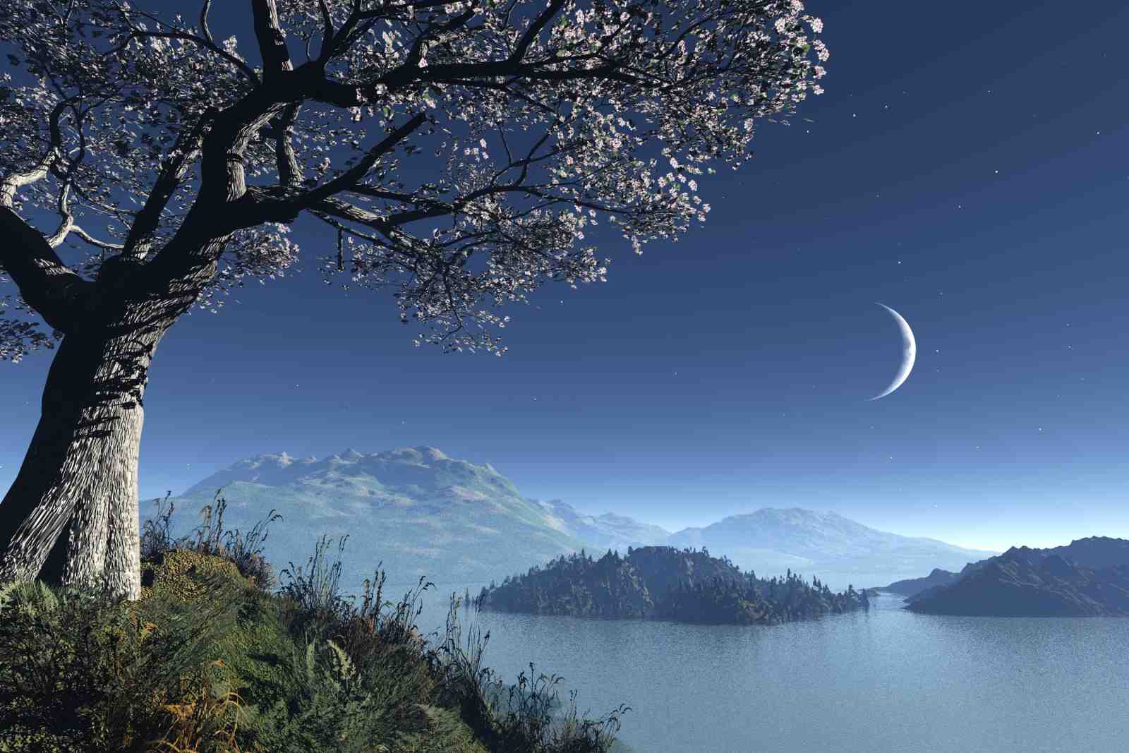 Serene Moonlit Landscape Tree Wall Art