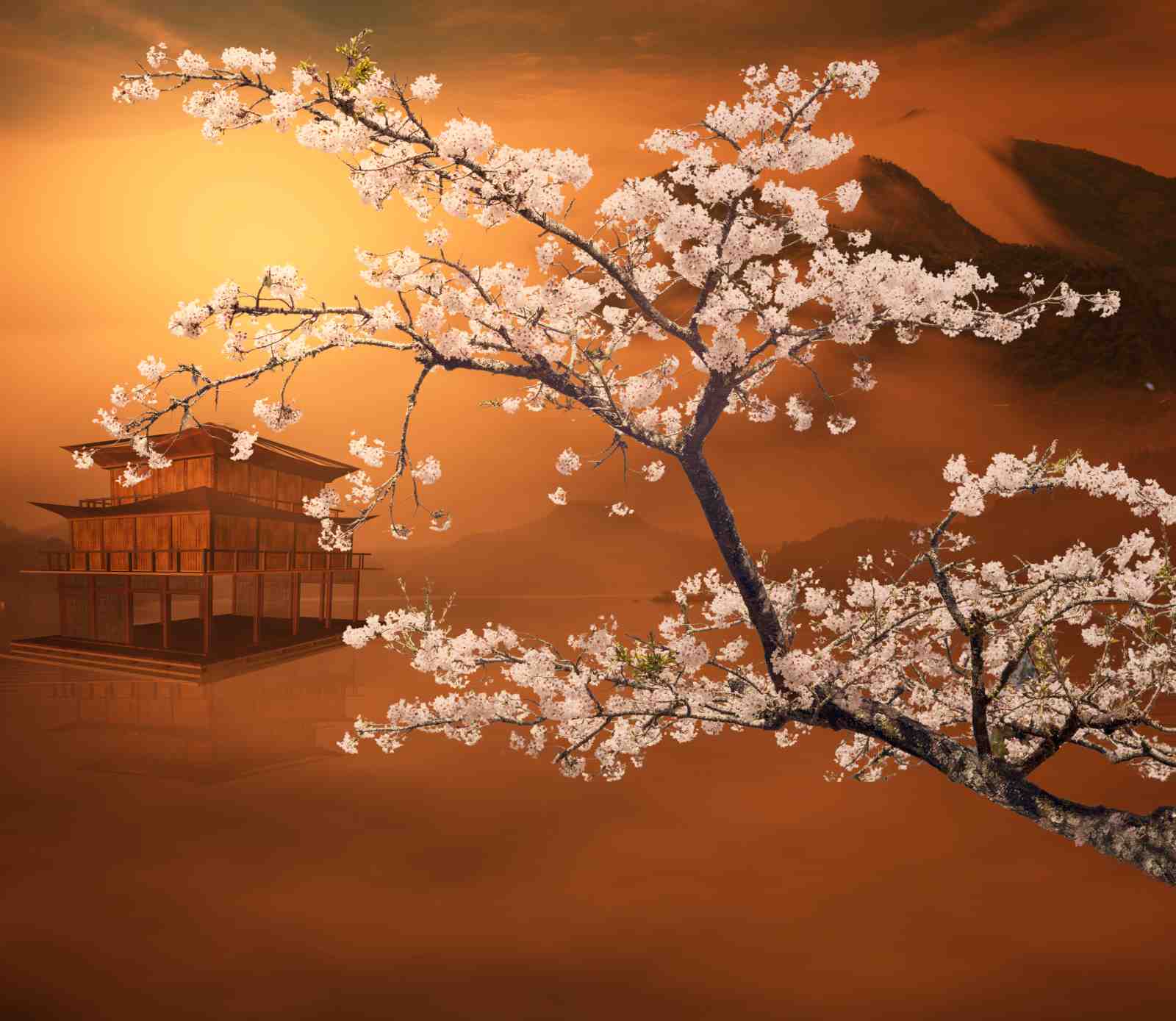 Serene Sakura Temple Wall Art