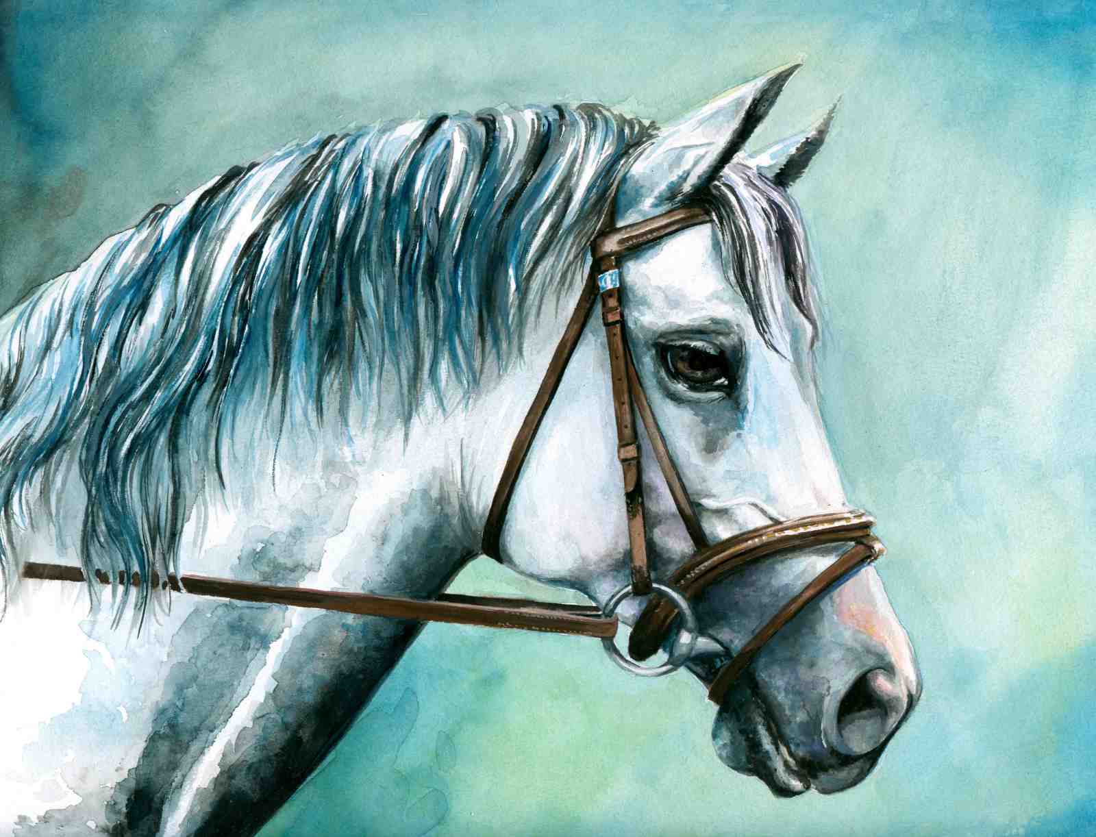 Majestic White Horse Portrait Wall Art