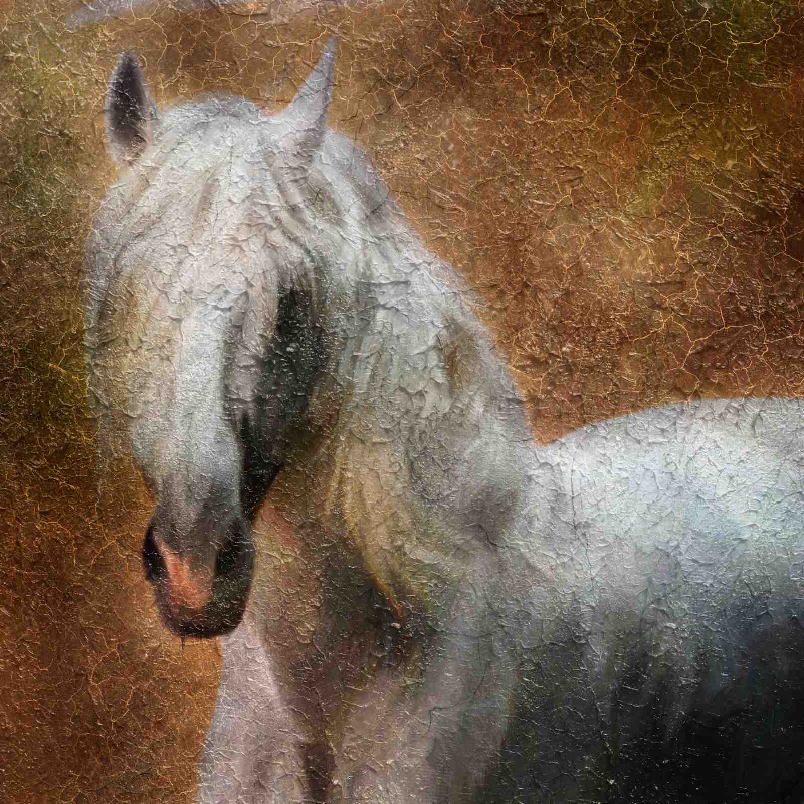 Majestic White Horse Textured Wall Art