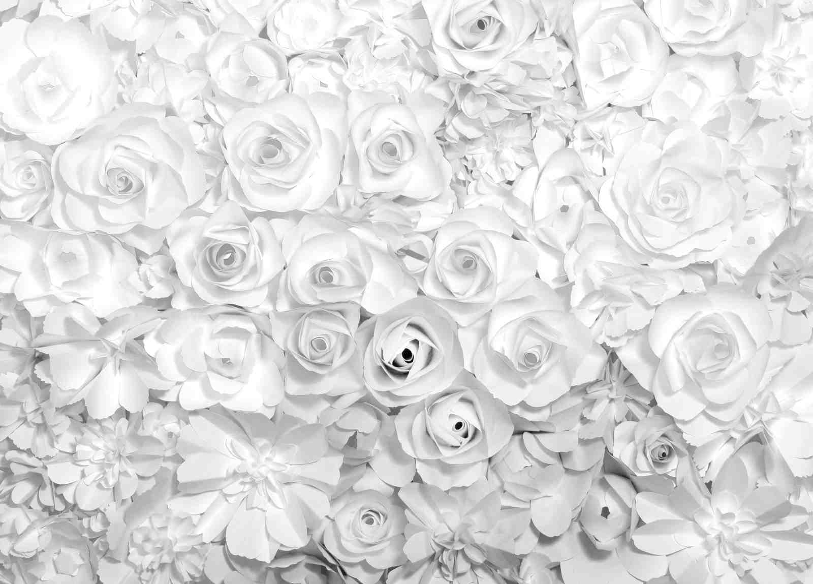 Elegant White Roses Floral Art Wall Art