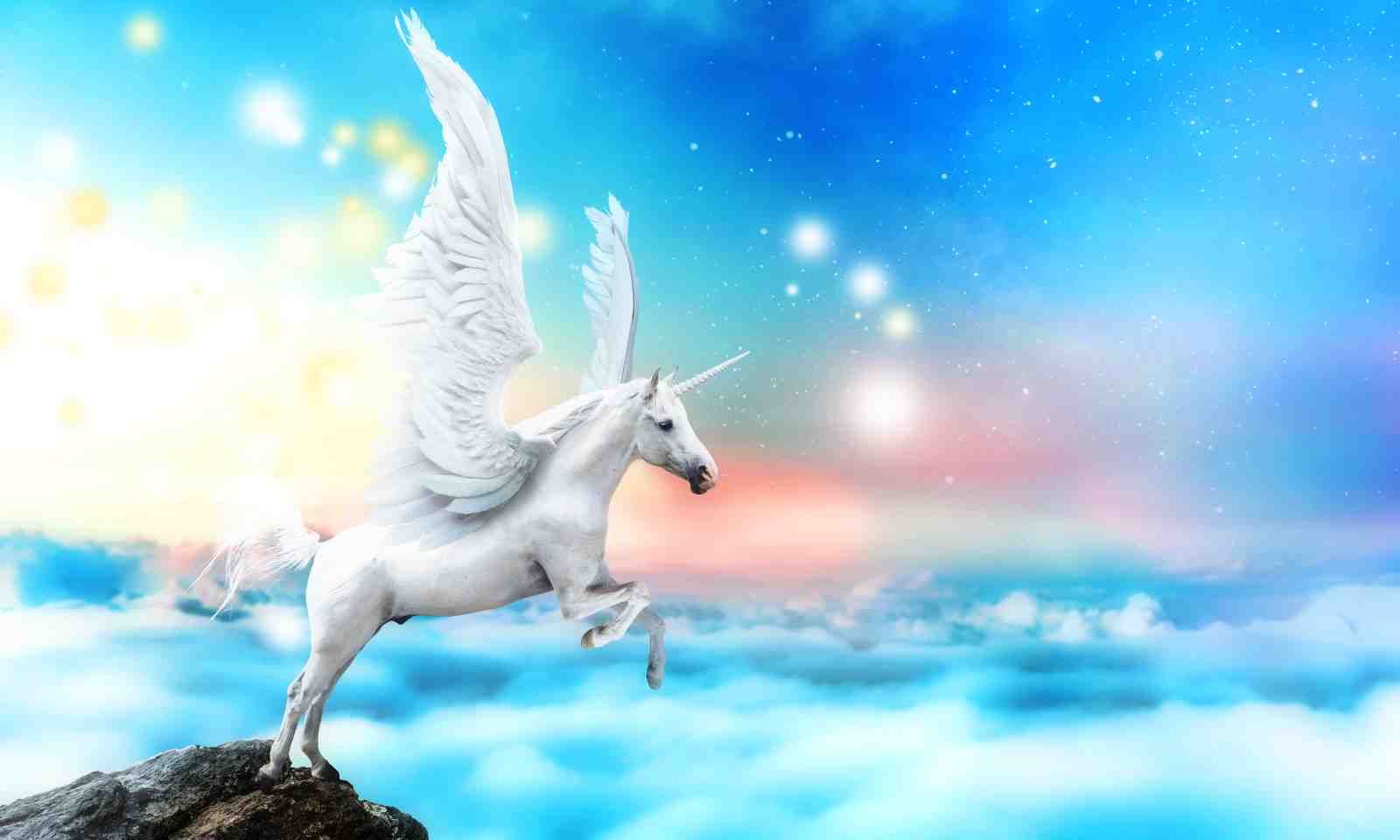 Majestic Pegasus Celestial Dreams Wall Art
