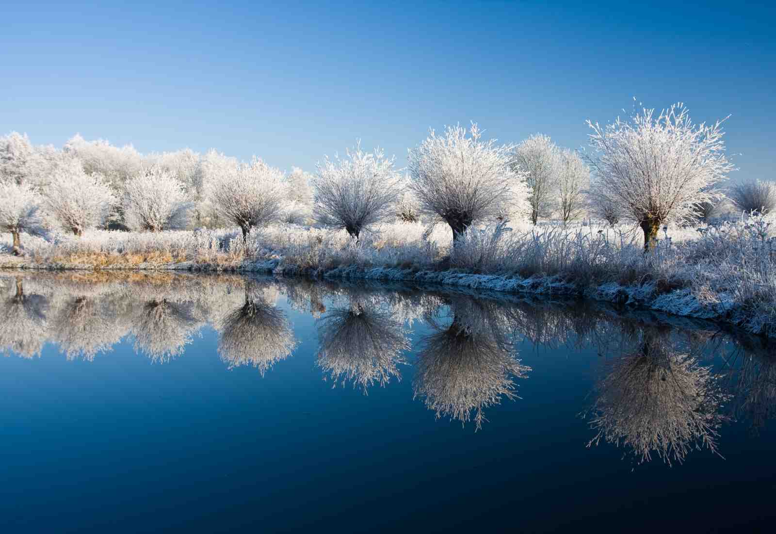 Winter Frost Trees & Lake Wall Art