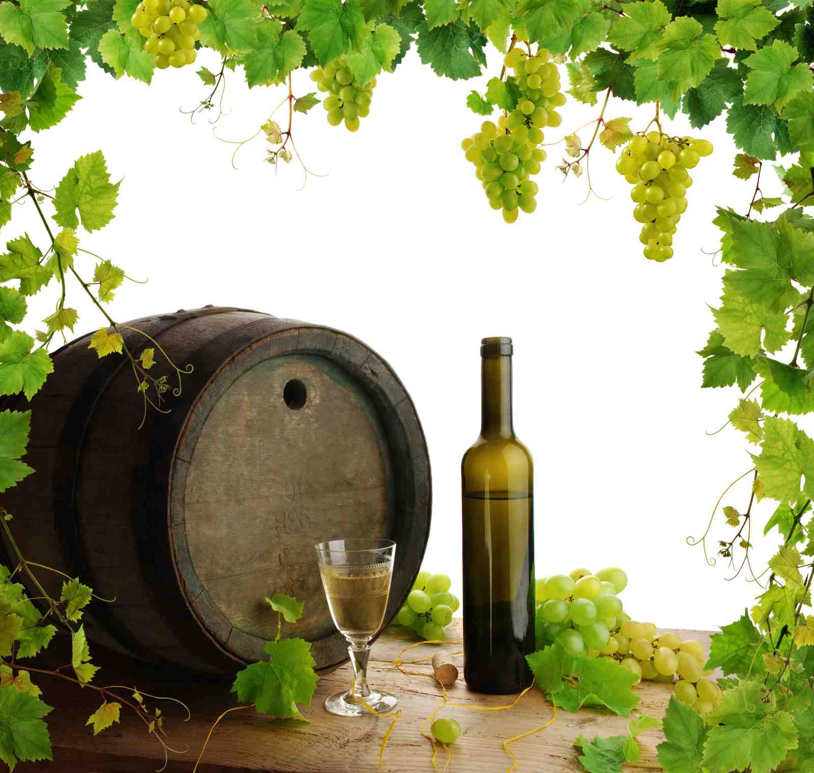 Vino & Grapes Vineyard Still Life Wall Art