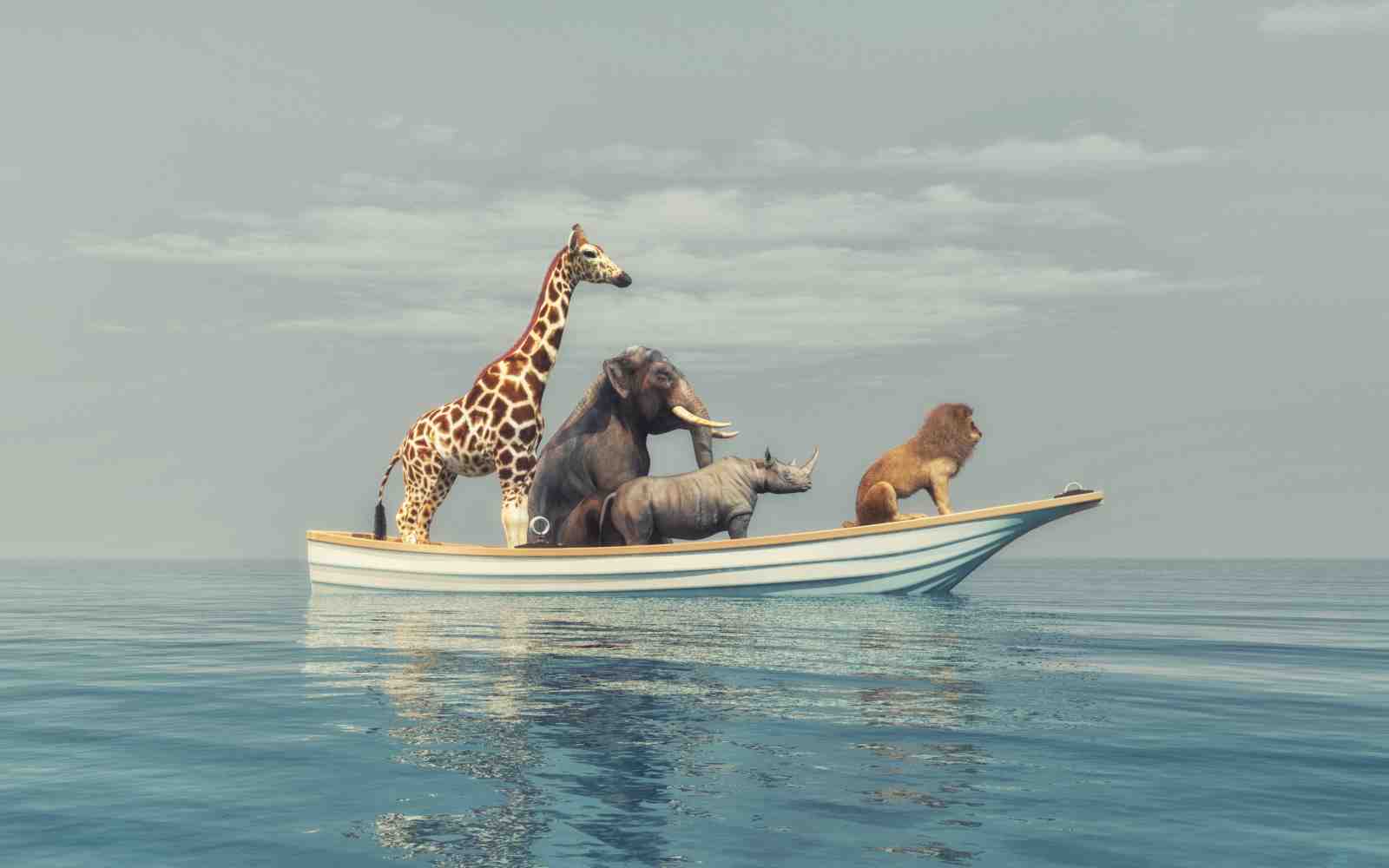 Safari Animals Boat Journey Wall Art