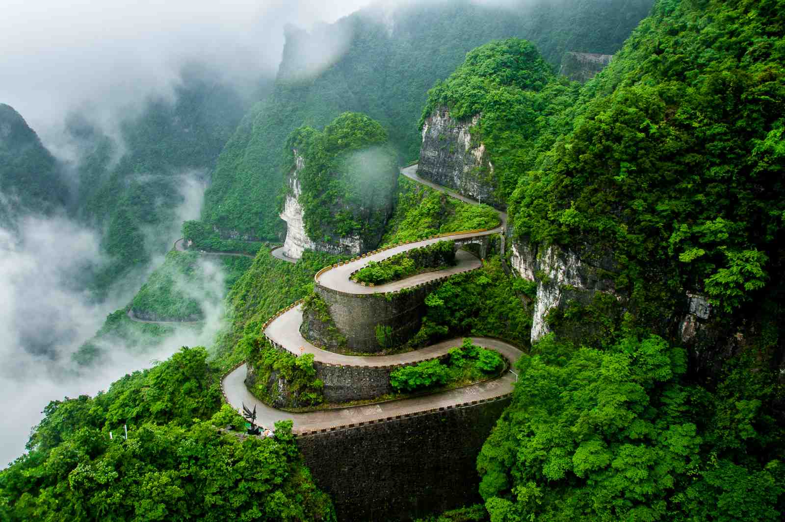 Serpentine Mountain Road Emerald Nature Wall Art