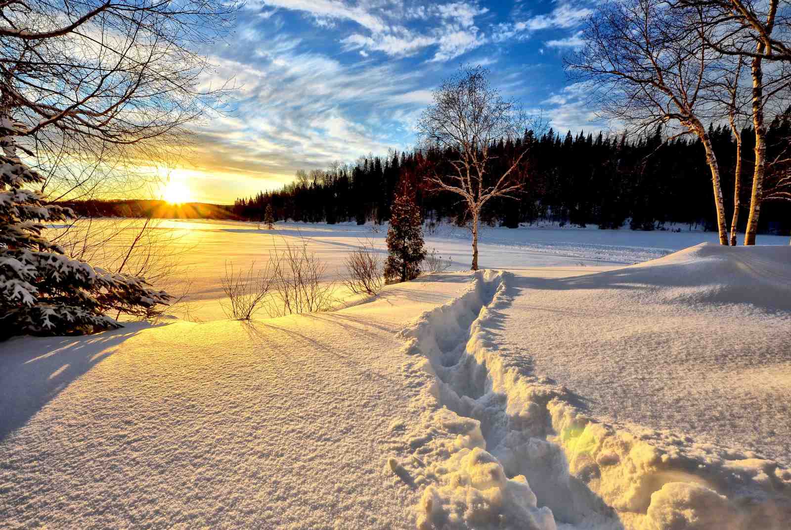 Golden Winter Sunset Snowy Path Wall Art
