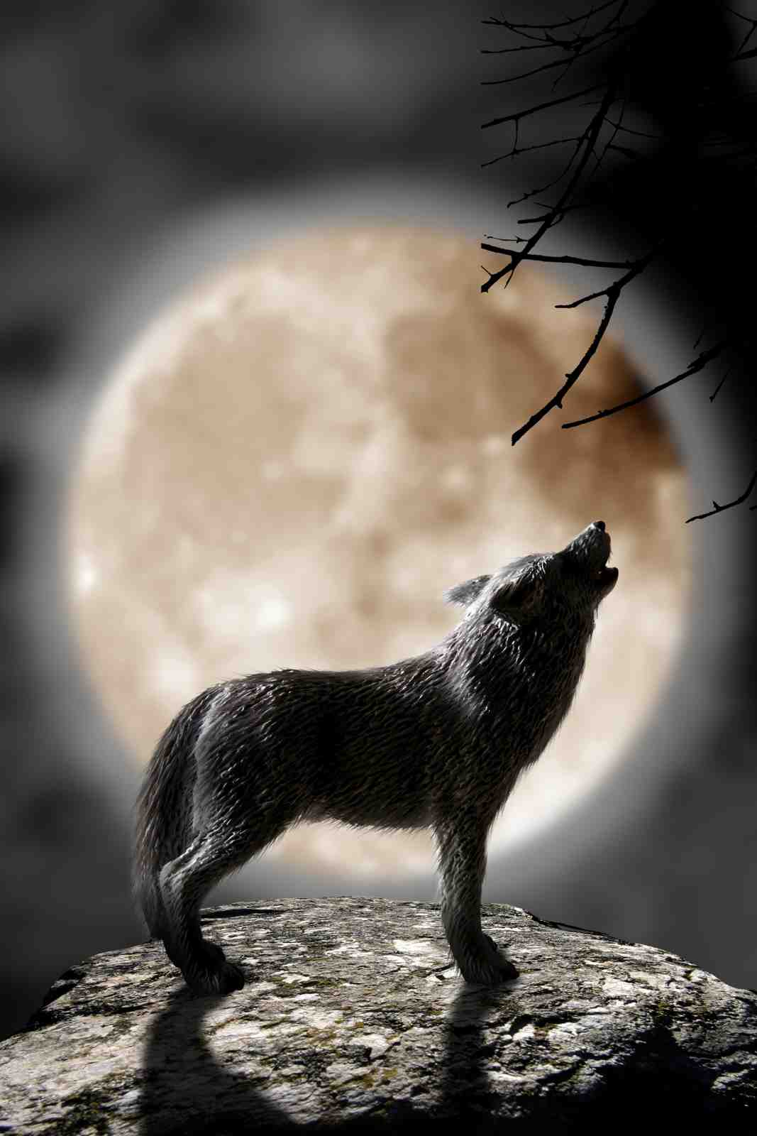 Majestic Wolf Howling at Moon Wall Art
