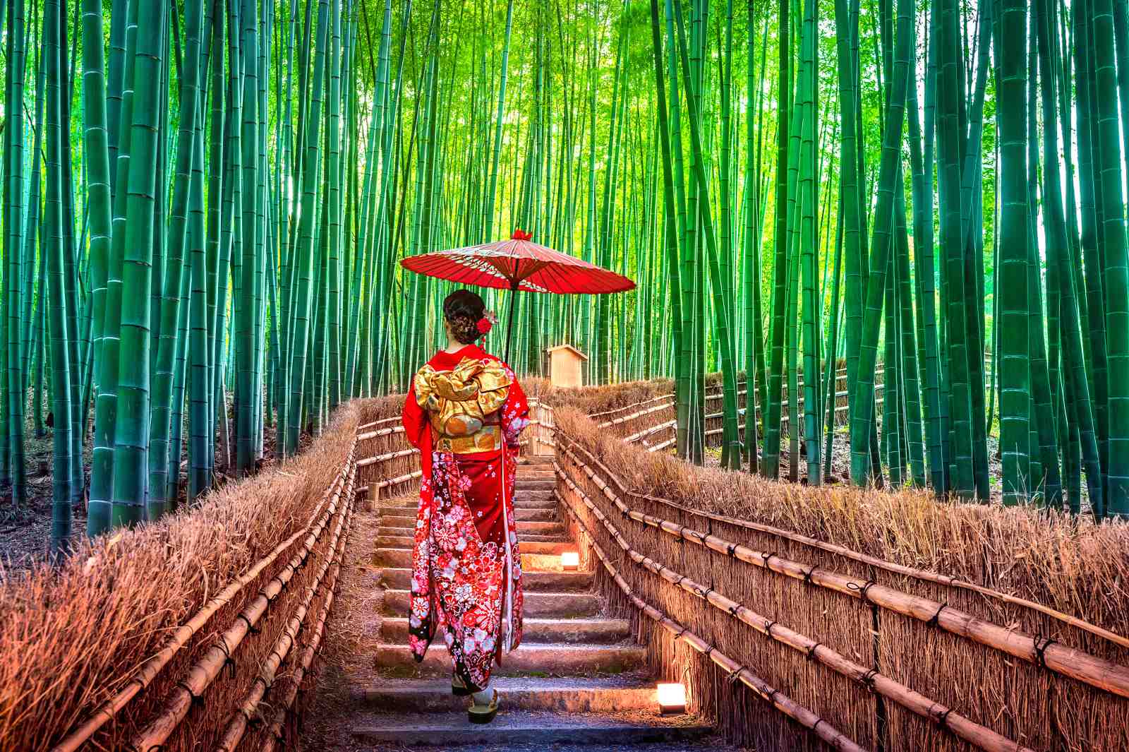 Serene Bamboo Path Geisha Kimono Wall Art