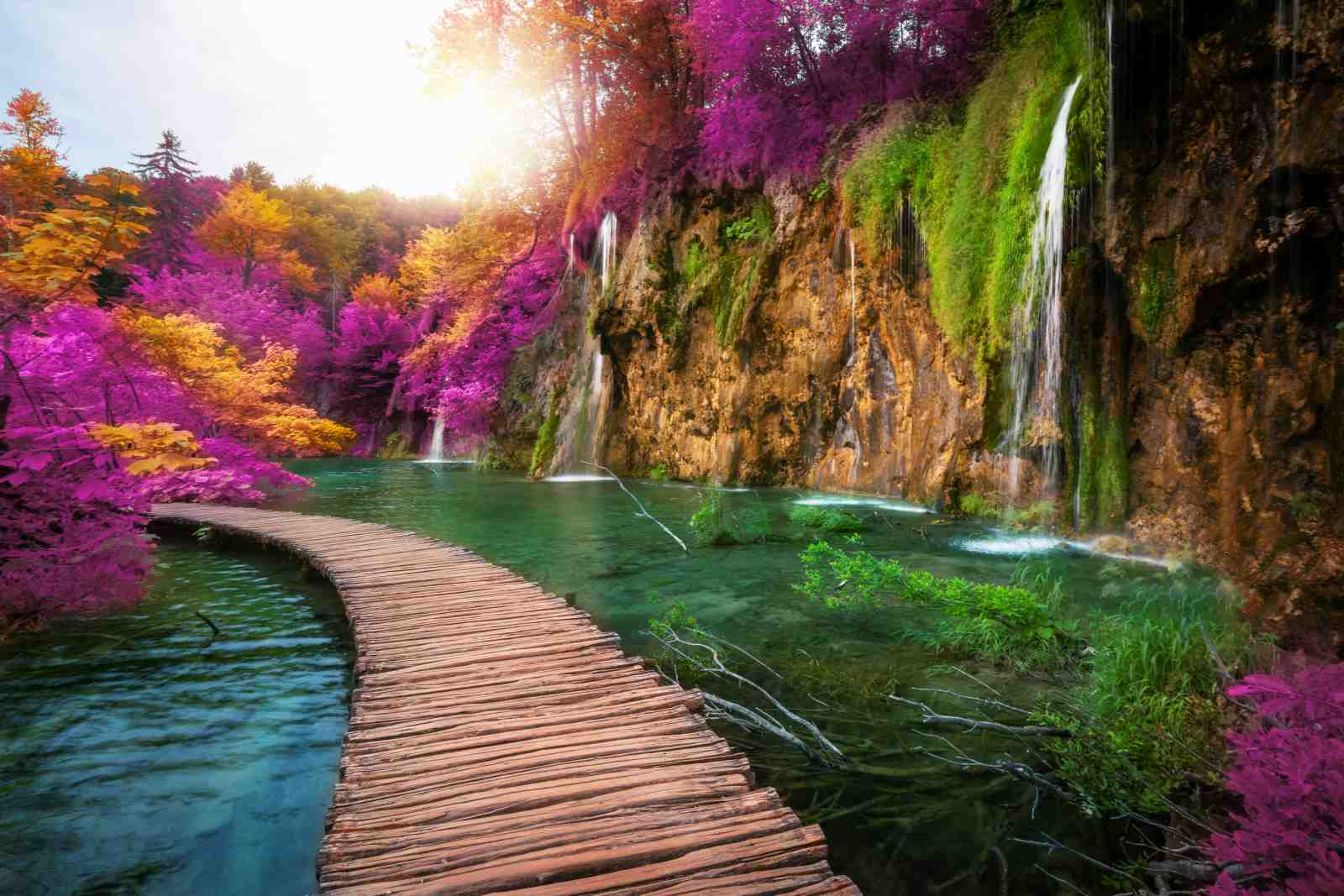 Magical Waterfall & Forest Path Wall Art