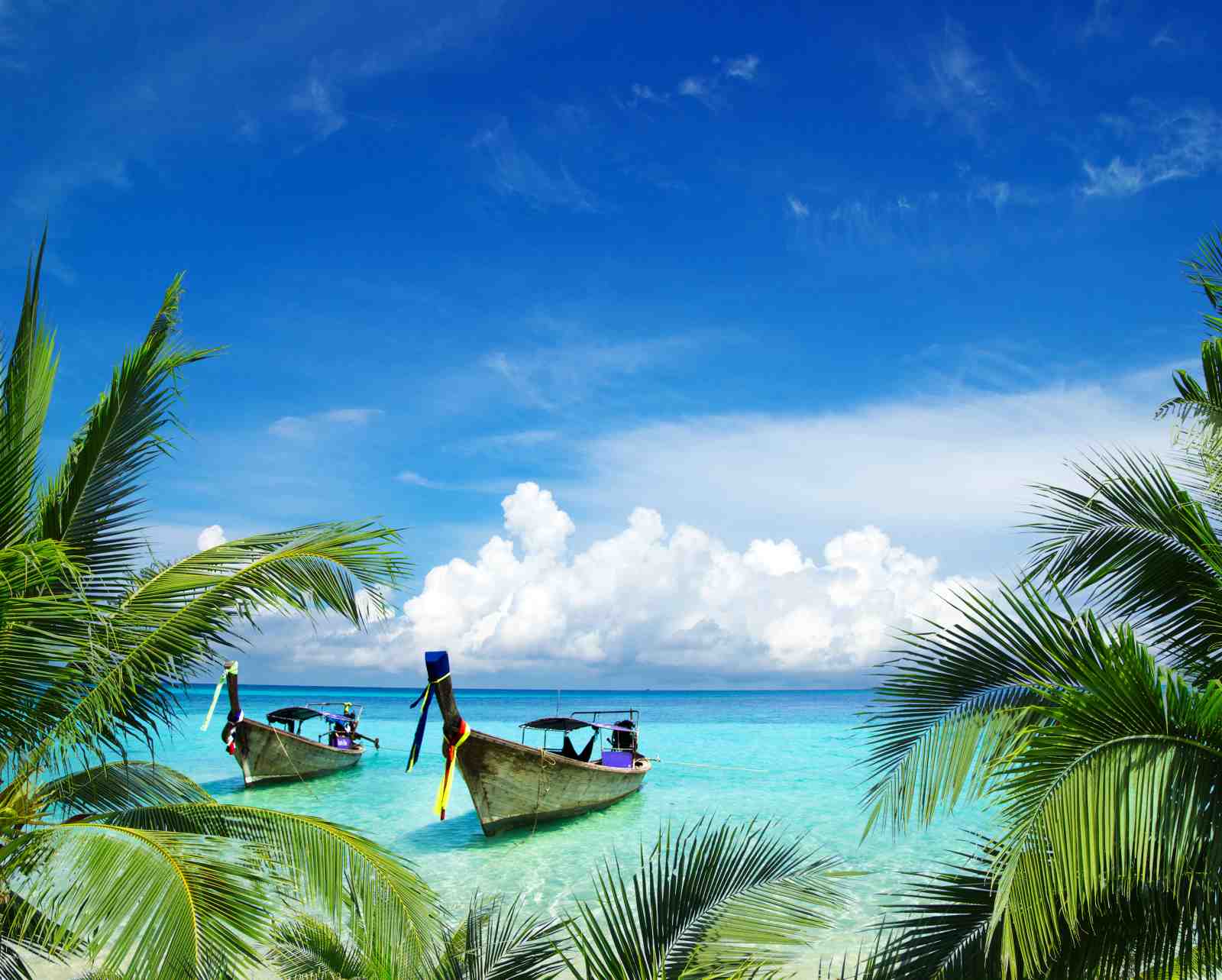 Tropical Paradise Longtail Boats Wall Art