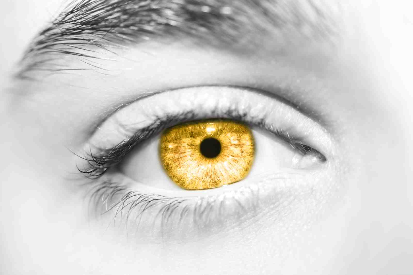 Golden Eye Close-Up Abstract Wall Art