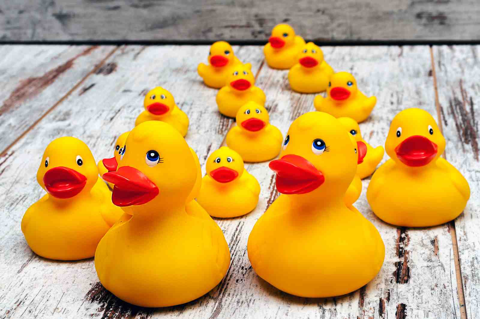 Playful Rubber Ducklings Yellow Wall Art
