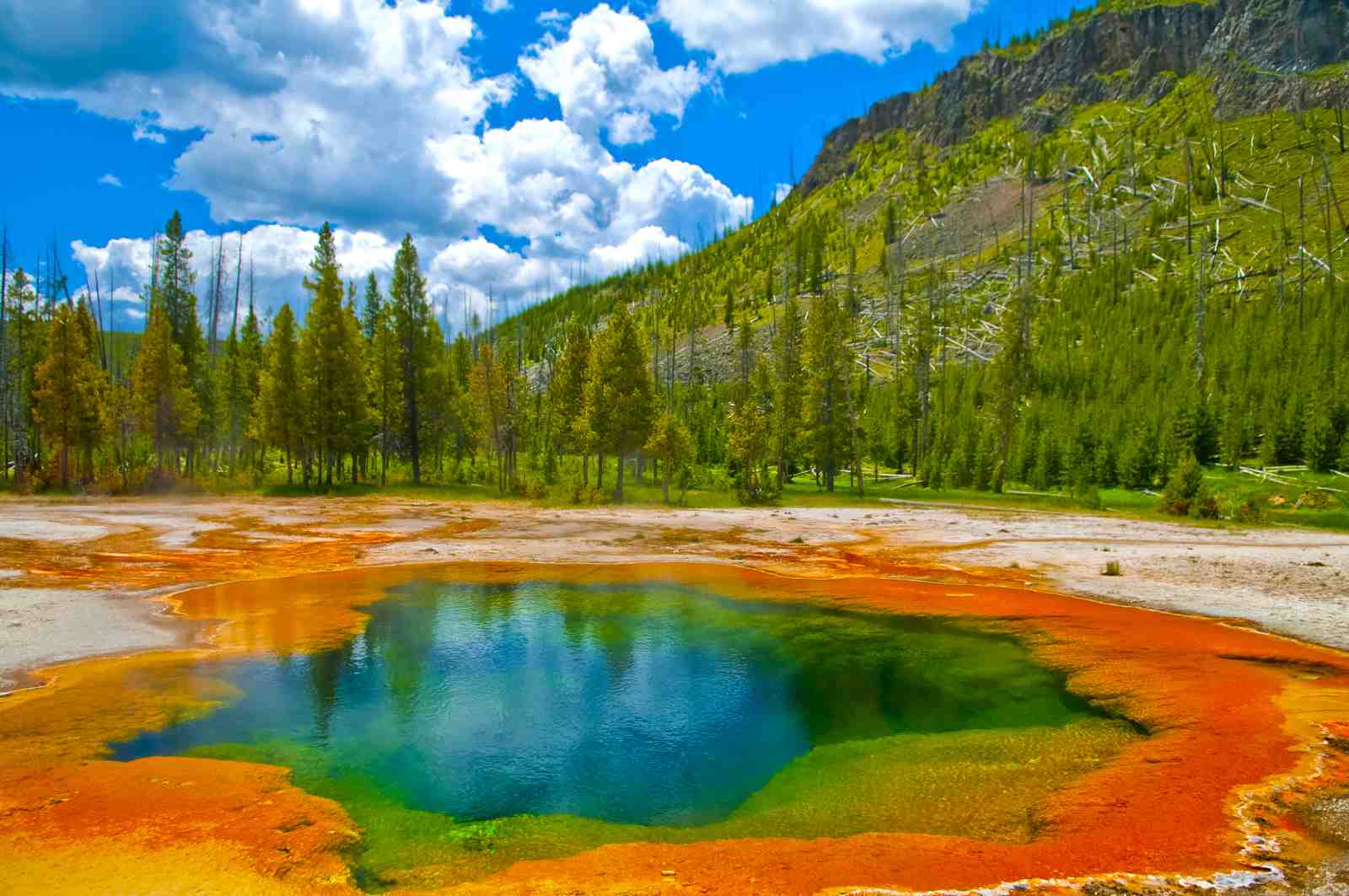 Vibrant Hot Spring Nature Wall Art