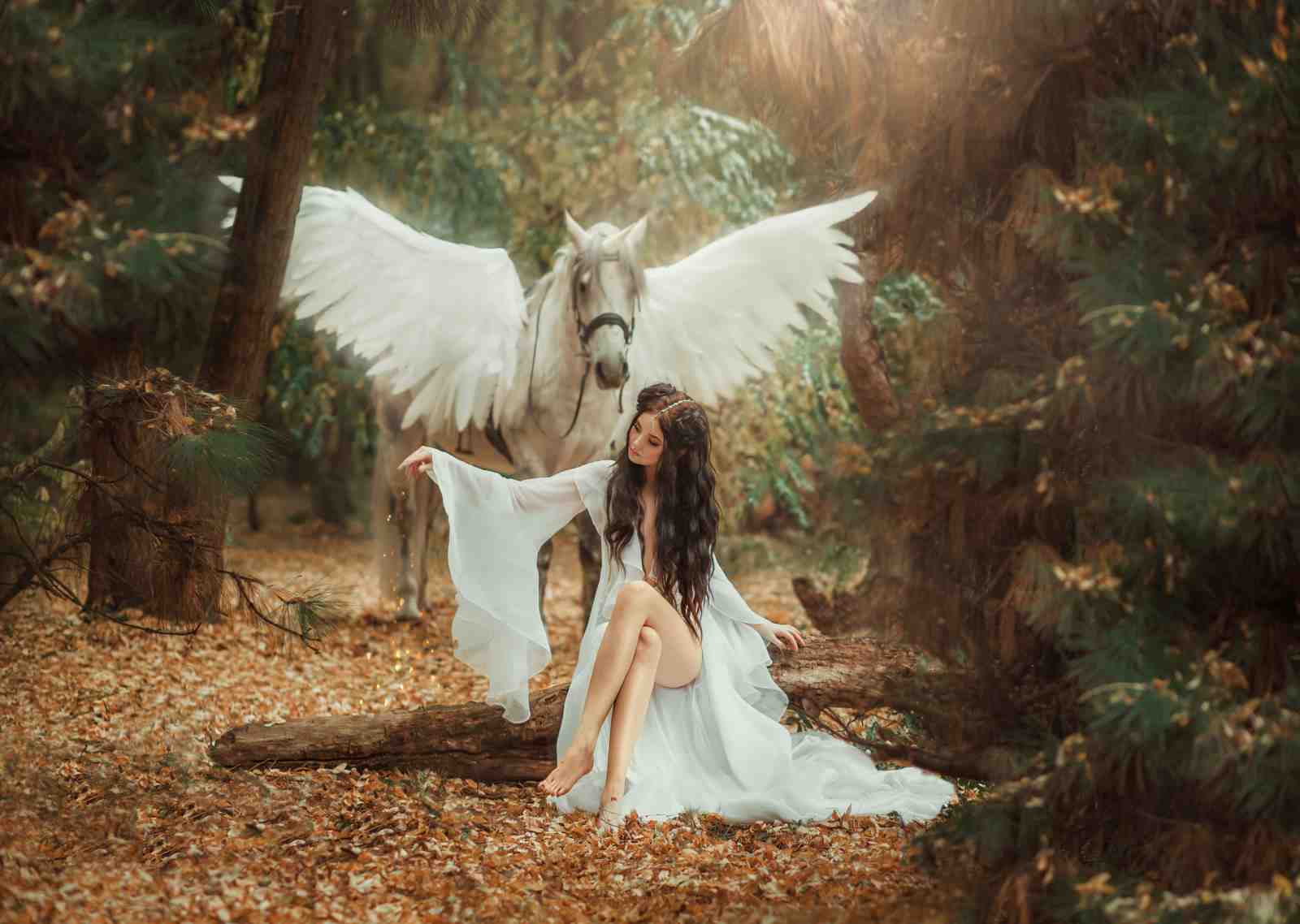 Enchanting Pegasus & Nymph Forest Wall Art